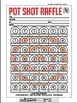 pot shot raffle card