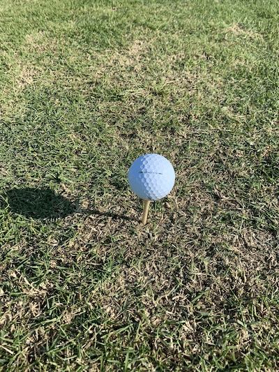 Titleist ProV1x Left Dash golf ball on a tee just before I hit a 330 yard drive with it.
