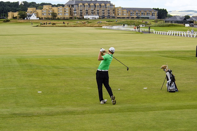 Golfers of different skill levels competing on a golf course